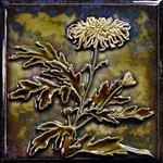 Chrysanthemum Five